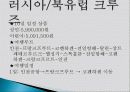 크루즈 관광, 여행 상품, 여행 정보, 일정, 현황, 계획, 관광지 소개, 종류, 유의사항, 특징, 역사, 국내 현황, 마케팅 전략, 효과, 발전방안, 전망, 분석 3페이지