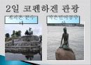 크루즈 관광, 여행 상품, 여행 정보, 일정, 현황, 계획, 관광지 소개, 종류, 유의사항, 특징, 역사, 국내 현황, 마케팅 전략, 효과, 발전방안, 전망, 분석 4페이지