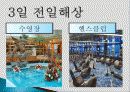 크루즈 관광, 여행 상품, 여행 정보, 일정, 현황, 계획, 관광지 소개, 종류, 유의사항, 특징, 역사, 국내 현황, 마케팅 전략, 효과, 발전방안, 전망, 분석 5페이지