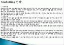 에버랜드, 성공 요인, 경영 이념, 비전과 목표, 연혁, 마케팅 전략, 서비스 마인드, 정보, 현황, 특징, 마케팅 효과, 전망, 분석 14페이지