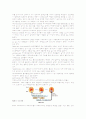 성인간호학 증상, 검사 15페이지
