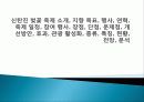 신탄진 벚꽃 축제 소개, 지향 목표, 행사, 연혁, 축제 일정, 참여 행사, 장점, 단점, 문제점, 개선방안, 효과, 관광 활성화, 종류, 특징, 현황, 전망, 분석 1페이지