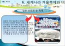 산천어 축제 소개, 여행 일정, SWOT 분석, 발전방향, 우리나라겨울축제, 세계 겨울축제, 효과, 관광 활성화, 종류, 특징, 현황, 전망, 분석 19페이지