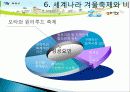 산천어 축제 소개, 여행 일정, SWOT 분석, 발전방향, 우리나라겨울축제, 세계 겨울축제, 효과, 관광 활성화, 종류, 특징, 현황, 전망, 분석 22페이지