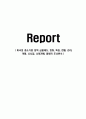 미국의 중소기업 정책 금융제도, 변화, 특징, 현황, 관리, 역할, 시사점, 나의견해, 총체적 조사분석 1페이지