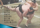 일본 스모의 역사, 유래, 개념, 스모 용어, 경기 규칙, 진행 과정, 승부의 결정, 경기 기술, 현황, 사례, 관리, 시사점, 방향 - 스모 분석 2페이지