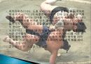 일본 스모의 역사, 유래, 개념, 스모 용어, 경기 규칙, 진행 과정, 승부의 결정, 경기 기술, 현황, 사례, 관리, 시사점, 방향 - 스모 분석 7페이지