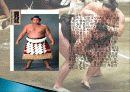 일본 스모의 역사, 유래, 개념, 스모 용어, 경기 규칙, 진행 과정, 승부의 결정, 경기 기술, 현황, 사례, 관리, 시사점, 방향 - 스모 분석 9페이지