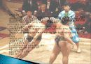 일본 스모의 역사, 유래, 개념, 스모 용어, 경기 규칙, 진행 과정, 승부의 결정, 경기 기술, 현황, 사례, 관리, 시사점, 방향 - 스모 분석 11페이지
