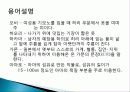 일본 기모노 유래, 역사, 종류, 기모노 입는 방법, 기모노 용어, 유카타, 레이소, 설명, 특징, 현황, 사례, 관리, 시사점, 방향 17페이지