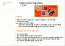 현대 민주국가 권력 형성, 독재체제에서 민주체제로의 변화, 선거체제의 일반화, 통치자의 강제성 완화, 시민운동 확대, 민주주의 개인주의화. 특징, 시사점 7페이지