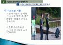 서울시의 문화 정책, 소개, 비전, 목표, 서울시 문화 5대 정책, 하이서울 페스티벌, 문화 예술 정책, 문화 예술 창작 활성화, 특징, 현황, 사례, 관리, 시사점, 조사분석 26페이지