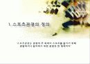스포츠 관광의 정의, 형태, 유형, 국내 스포츠 관광 현황, 효과, 국내 사례, 국내 스포츠 관광의 발전방향, 특징, 현황, 사례, 관리, 역할, 기법, 시사 4페이지