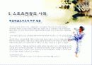 스포츠 관광의 정의, 형태, 유형, 국내 스포츠 관광 현황, 효과, 국내 사례, 국내 스포츠 관광의 발전방향, 특징, 현황, 사례, 관리, 역할, 기법, 시사 20페이지