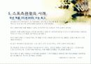 스포츠 관광의 정의, 형태, 유형, 국내 스포츠 관광 현황, 효과, 국내 사례, 국내 스포츠 관광의 발전방향, 특징, 현황, 사례, 관리, 역할, 기법, 시사 24페이지