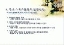 스포츠 관광의 정의, 형태, 유형, 국내 스포츠 관광 현황, 효과, 국내 사례, 국내 스포츠 관광의 발전방향, 특징, 현황, 사례, 관리, 역할, 기법, 시사 30페이지