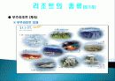 국내 리조트의 의미, 종류, 국내 리조트 사업특성, 리조트의 발전방향, 특징, 현황, 사례, 마케팅 관리, 역할, 기법, 시사점, 나의견해, 조사분석 10페이지