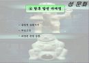 음식문화와 성문화, 문화 관광, 각국의 음식문화와 성문화, 우리나라 음식문화와 성문화, 향후 발전 마케팅, 특징, 현황, 관리, 역할, 사례, 시사점, 조사분석 25페이지