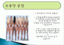 국내 공연 특징, 정의, 한국 공연의 상품화, 풍수지리 분석, 한국 공연 예술의 상품화, 국내 생활 풍수, 산세와 명당, 특징, 현황, 사례, 관리, 역할, 기법, 시사점, 조사분석 9페이지