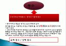 국내 공연 특징, 정의, 한국 공연의 상품화, 풍수지리 분석, 한국 공연 예술의 상품화, 국내 생활 풍수, 산세와 명당, 특징, 현황, 사례, 관리, 역할, 기법, 시사점, 조사분석 19페이지
