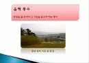 국내 공연 특징, 정의, 한국 공연의 상품화, 풍수지리 분석, 한국 공연 예술의 상품화, 국내 생활 풍수, 산세와 명당, 특징, 현황, 사례, 관리, 역할, 기법, 시사점, 조사분석 20페이지