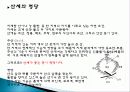 국내 공연 특징, 정의, 한국 공연의 상품화, 풍수지리 분석, 한국 공연 예술의 상품화, 국내 생활 풍수, 산세와 명당, 특징, 현황, 사례, 관리, 역할, 기법, 시사점, 조사분석 22페이지