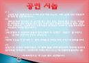 한국의 공연문화, 세계의 축제 및 공연, 공연내용, 중점, 장소의 조건, 등장인물, 공연시놉, 공연을 마치며, 특징, 관리, 역할, 기법, 시사점 8페이지