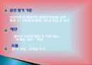한국의 공연문화, 세계의 축제 및 공연, 공연내용, 중점, 장소의 조건, 등장인물, 공연시놉, 공연을 마치며, 특징, 관리, 역할, 기법, 시사점 10페이지