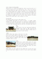 문화재 정의, 특징, 종류, 분류, 사적지 조사, 한국의 문화유산 관광, 깊은 역사, 서울 고궁 코스, 효과, 변화, 특징, 현황, 사례, 관리, 조사분석 5페이지