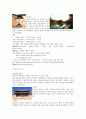 문화재 정의, 특징, 종류, 분류, 사적지 조사, 한국의 문화유산 관광, 깊은 역사, 서울 고궁 코스, 효과, 변화, 특징, 현황, 사례, 관리, 조사분석 6페이지