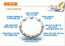 테마파크 정의, 개념, 국내 테마파크 현황, 신라 밀레니엄 파크 소개, 프로그램, 주요시설, SWOT 분석, 홍보, 마케팅 전략, 해외 사례 연구, 향후 테마파크 추세 19페이지