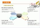 테마파크 정의, 개념, 국내 테마파크 현황, 신라 밀레니엄 파크 소개, 프로그램, 주요시설, SWOT 분석, 홍보, 마케팅 전략, 해외 사례 연구, 향후 테마파크 추세 20페이지