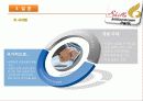 테마파크 정의, 개념, 국내 테마파크 현황, 신라 밀레니엄 파크 소개, 프로그램, 주요시설, SWOT 분석, 홍보, 마케팅 전략, 해외 사례 연구, 향후 테마파크 추세 24페이지