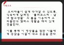 롤러코스터 대학생 탐구생활 공연 기획의도, 수용자의 욕구, 시장조사, 수용자 측 분석, 제작계획, 유통일정, 특징, 현황, 기법, 시사점, 나의견해, 조사분석 3페이지
