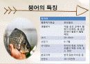 정책시뮬레이션 벤심 베스 7페이지