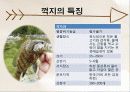 정책시뮬레이션 벤심 베스 8페이지