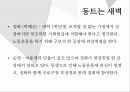 공지영 작가론 14페이지