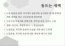 공지영 작가론 15페이지