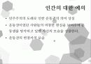 공지영 작가론 18페이지
