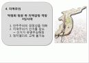 일본과 우리나라의 민주주의 비교 10페이지