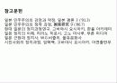일본과 우리나라의 민주주의 비교 20페이지