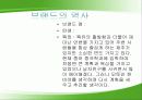 자신을 브랜드로 만들기 - ‘나’라는 브랜드 : 브랜드의 역사, 장점, 인내심과 책임감, 장래성 3페이지