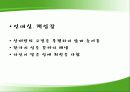 자신을 브랜드로 만들기 - ‘나’라는 브랜드 : 브랜드의 역사, 장점, 인내심과 책임감, 장래성 10페이지