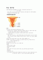 자궁 경부암 1페이지