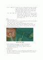 자궁 경부암 2페이지