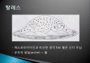 고대 이집트와 메소포타미아 문명의 역사, 철학, 생애, 영향, 특징, 현황, 관리, 역할, 기법, 시사점, 나의견해, 총체적 조사분석 10페이지