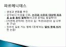고대 이집트와 메소포타미아 문명의 역사, 철학, 생애, 영향, 특징, 현황, 관리, 역할, 기법, 시사점, 나의견해, 총체적 조사분석 18페이지
