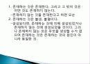 고대 이집트와 메소포타미아 문명의 역사, 철학, 생애, 영향, 특징, 현황, 관리, 역할, 기법, 시사점, 나의견해, 총체적 조사분석 19페이지