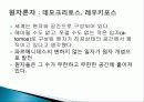 고대 이집트와 메소포타미아 문명의 역사, 철학, 생애, 영향, 특징, 현황, 관리, 역할, 기법, 시사점, 나의견해, 총체적 조사분석 26페이지