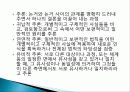 글쓰기의 형태와 방법, 묘사, 서사, 설명, 논증, 명제, 논거, 특징, 역할, 기법, 시사점 9페이지
